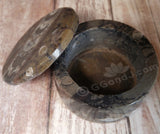 Fossil Box from Morocco GGandJ.com Open