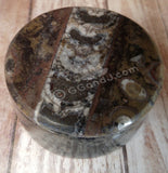 Natural 200 Million year old fossil keepsake box. Trinket gift idea