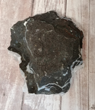 Underside of Zeolite
