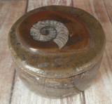 Closed view of Fossil Candle box