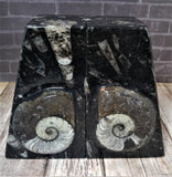 GGandJ.com Fossil Bookends from Morocco - Pair A
