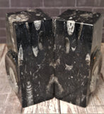 Inside view of Moroccan Fossil Bookend Pair GGandJ.com