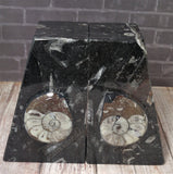 GGandJ.com Fossil Bookend Set - Pair B