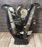 GGandJ.com Ammonite & Orthoceras Small Tulip Fossil Statue A