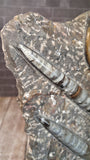 Medium Statue A - Orthoceras tip close-up