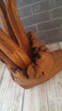 Close-up of wood mushroom from GGandJ