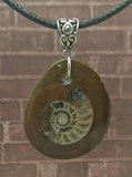 Ammonite pendant with silver bail