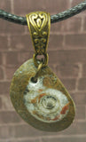 Ammonite Pendant Brass Bail