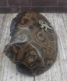 Pewter animal on natural stone