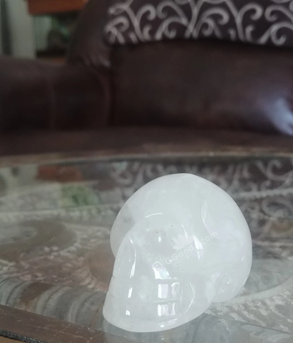 Home Decor Gemstone Mineral Naturally Unique Clear Quartz Skull in Living Room on GGandJ.com