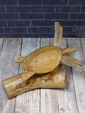 Flying Sea Turtle on burl hand carved wood gift idea