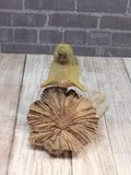 Wood seal on mushroom knot