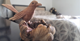 Home Decor Indonesian Wood Art Naturally Unique Hand carved Bird  in Bed Room on GGandJ.com siamese cat
