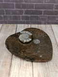 Ammonite fossil heart plate on ggandj.com gypsy gems & jewelry
