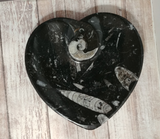 Ammonite fossil heart plate on ggandj.com gypsy gems & jewelry Heart Plate B