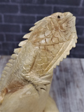 Close up of wood iguana reptile lizard on GGandJ.com