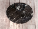 Small Oval Ammonite fossil plate A on ggandj.com gypsy gems & jewelry