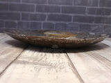 Side view of ammonite oblong plate on wood grain background