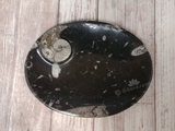 Ammonite fossil oval plate on ggandj.com gypsy gems & jewelry
