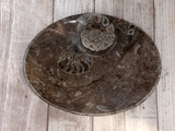 Ammonite fossil oval plate B on ggandj.com gypsy gems & jewelry