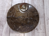 Ammonite fossil small round plate on ggandj.com gypsy gems & jewelry