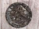 Ammonite Orthoceras fossil feeder plate, soap dish Gypsy Gems & Jewelry GGandJ.com
