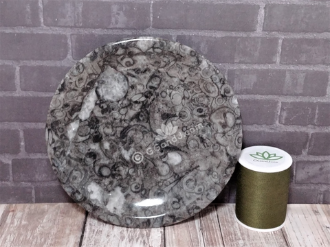 Ammonite Orthoceras fossil feeder plate, soap dish Gypsy Gems & Jewelry GGandJ.com