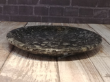 side view of fossil feeder dish