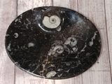 Small Oval Ammonite fossil plate B on ggandj.com gypsy gems & jewelry