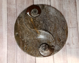 Ammonite fossil ying yang plate on ggandj.com gypsy gems & jewelry