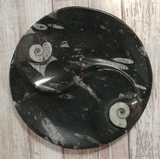 Ammonite fossil ying yang plate on ggandj.com gypsy gems & jewelry black and white