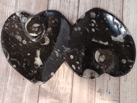 Ammonite fossil double heart plate on ggandj.com gypsy gems & jewelry