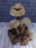 Back side wood frog on mushroom 