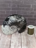 Large Ammonite with thread spool size reference