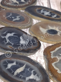 Septarian Fossil Slices for Jewelry Making