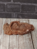 Stromatolite fossil from Morocco on GGandJ.com
