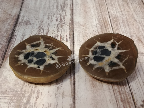 Septarian Dragon Egg Nodule Sliced Pair Gypsy Gems & Jewelry Naturally Unique