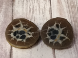 Septarian Nodule Pair with wood grain background