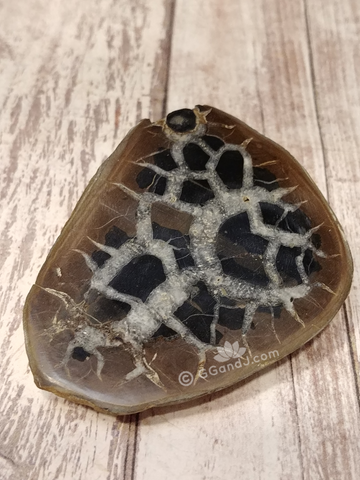 Fossil Septarian Nodule half with wood grain background