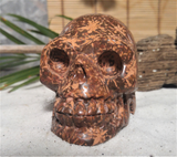 Terrarium Decor ggandj.com Large Gemstone Skull