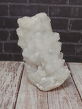 White sparkly coral looking stone Chalcedony from India 