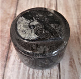 Fossil Ring Box from Morocco Box B