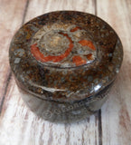 Moroccan Fossil Ring Box C