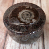 Moroccan Fossil Ring Box D