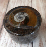 Moroccan Fossil Ring Box H
