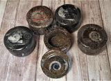 Handcrafted Fossil Ring Boxes from Morocco