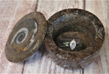 Fossil Ring Box with Ring