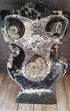 Gypsy Gems & Jewelry™ Naturally Unique™ Goddess 4 Ammonite Statue GGandJ.com