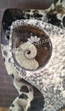 Gypsy Gems & Jewelry™ Naturally Unique™ Goddess 4 Ammonite Statue Left side GGandJ.com