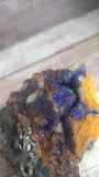 Azurite and Malachite from Morocco with USA made pewter gecko reptile